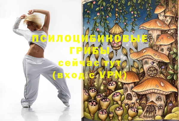 круглые Переславль-Залесский