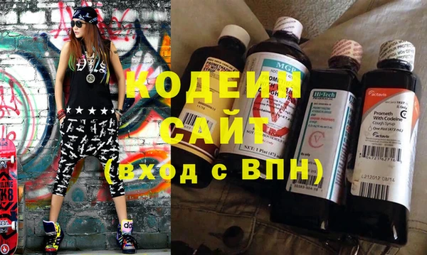 СК Пересвет