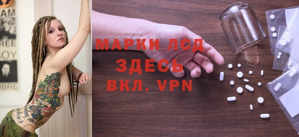СК Пересвет