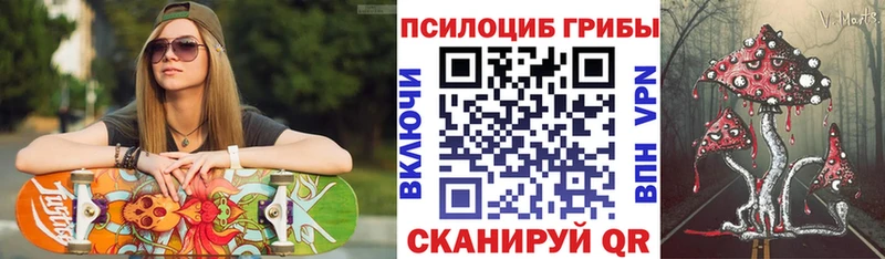OMG ONION  Карпинск  Галлюциногенные грибы ЛСД 
