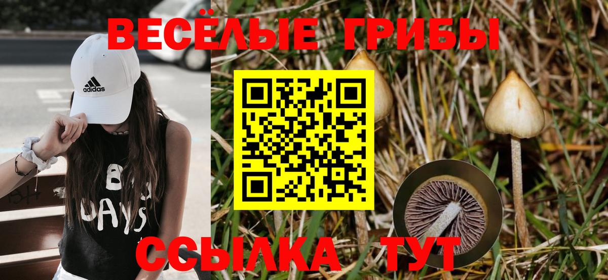Карпинск  даркнет сайт  Вход с VPN  Псилоцибиновые грибы Psilocybine cubensis 